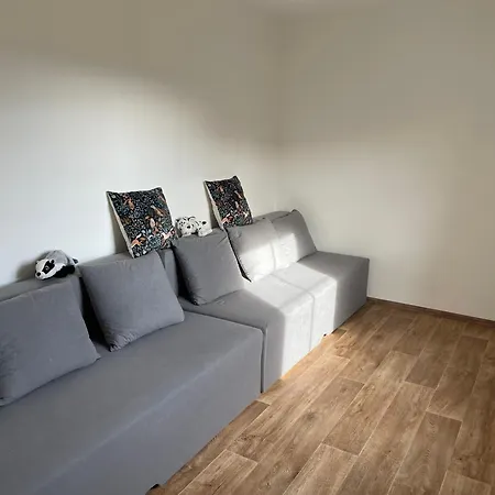 Novy Mlyn, Borová Lada